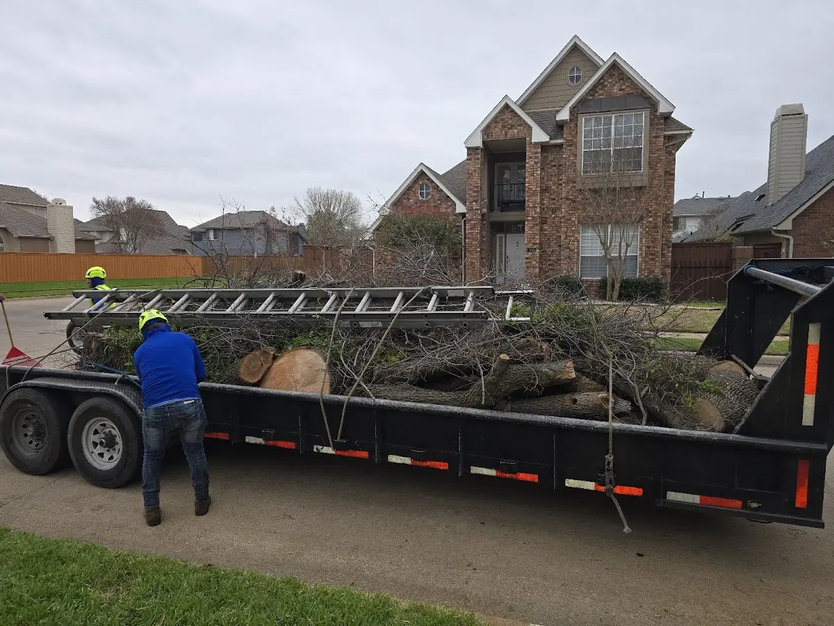 Expert Tree Fertilization with proper safety equipment in Price